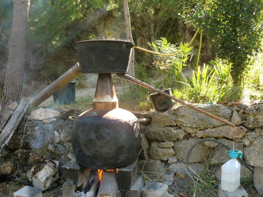 Quinta Do Circo - Serra Da Estrela - Turismo Rural Cortes do Meio Ngoại thất bức ảnh