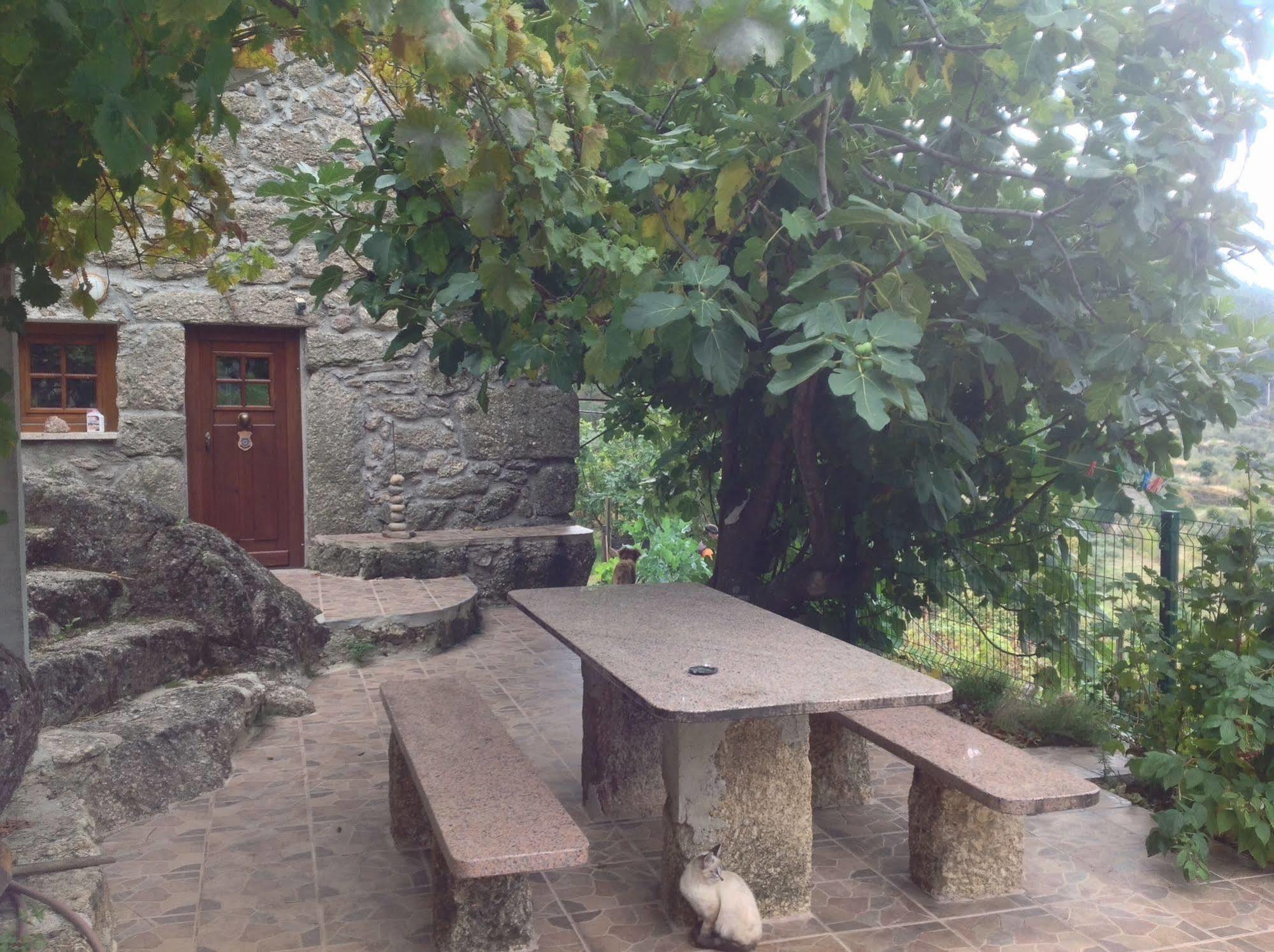 Quinta Do Circo - Serra Da Estrela - Turismo Rural Cortes do Meio Ngoại thất bức ảnh